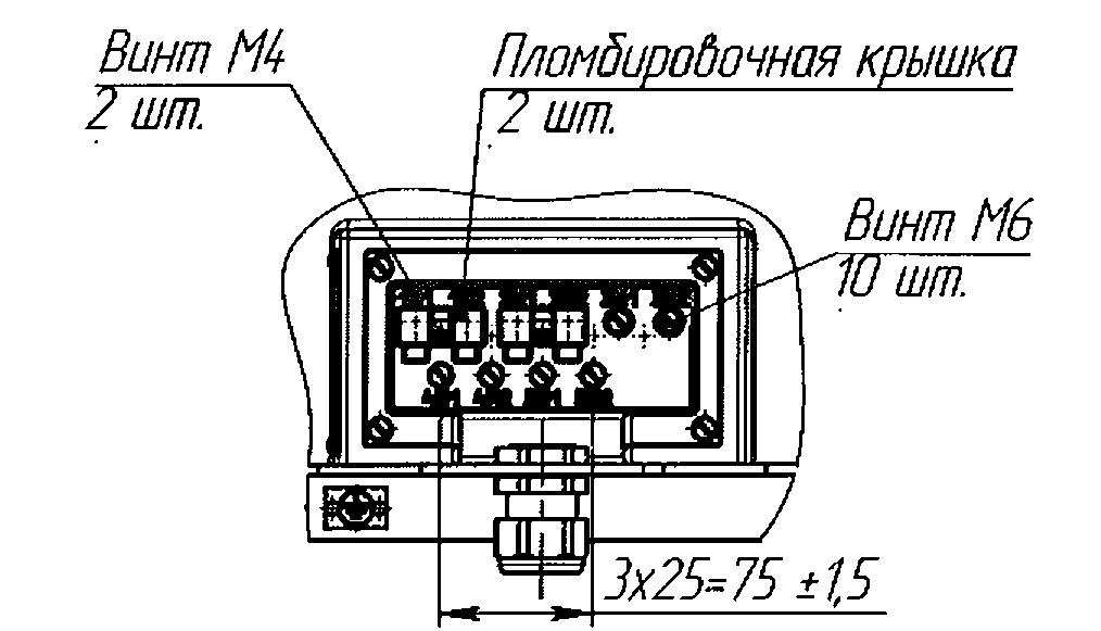 Рис. А.6 - Клеммник трансформатора тока ТОЛ-СВЭЛ-3 5 IIIM-5.2 с пятью вторичными обмотками